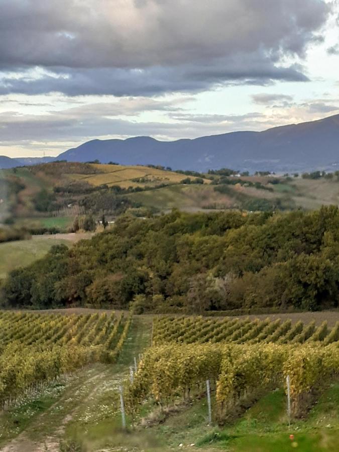 Tenuta Grimaldi Wine Resort 마텔리카 외부 사진